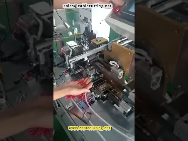 Mesin Celup Timah Otomatis Double Head Model 2 | Presisi Tinggi untuk Otomatisasi Pabrik