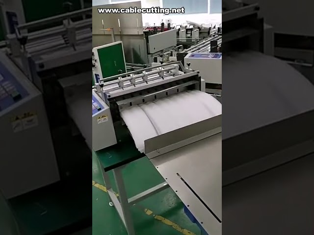 Mesin Pemotong Film Shrink PVC, Mesin Pemotong Film Kemasan Plastik, Mesin Pemotong Sabuk Plastik Buram PP