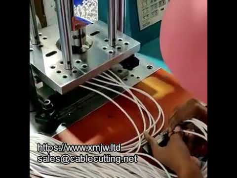 Mesin Injection Molding Standar WPM 150 - Produksi Plastik Presisi Tinggi
